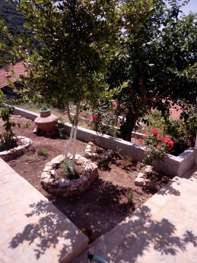 Dimitra'S Garden Villa Kallirákhi Eksteriør billede
