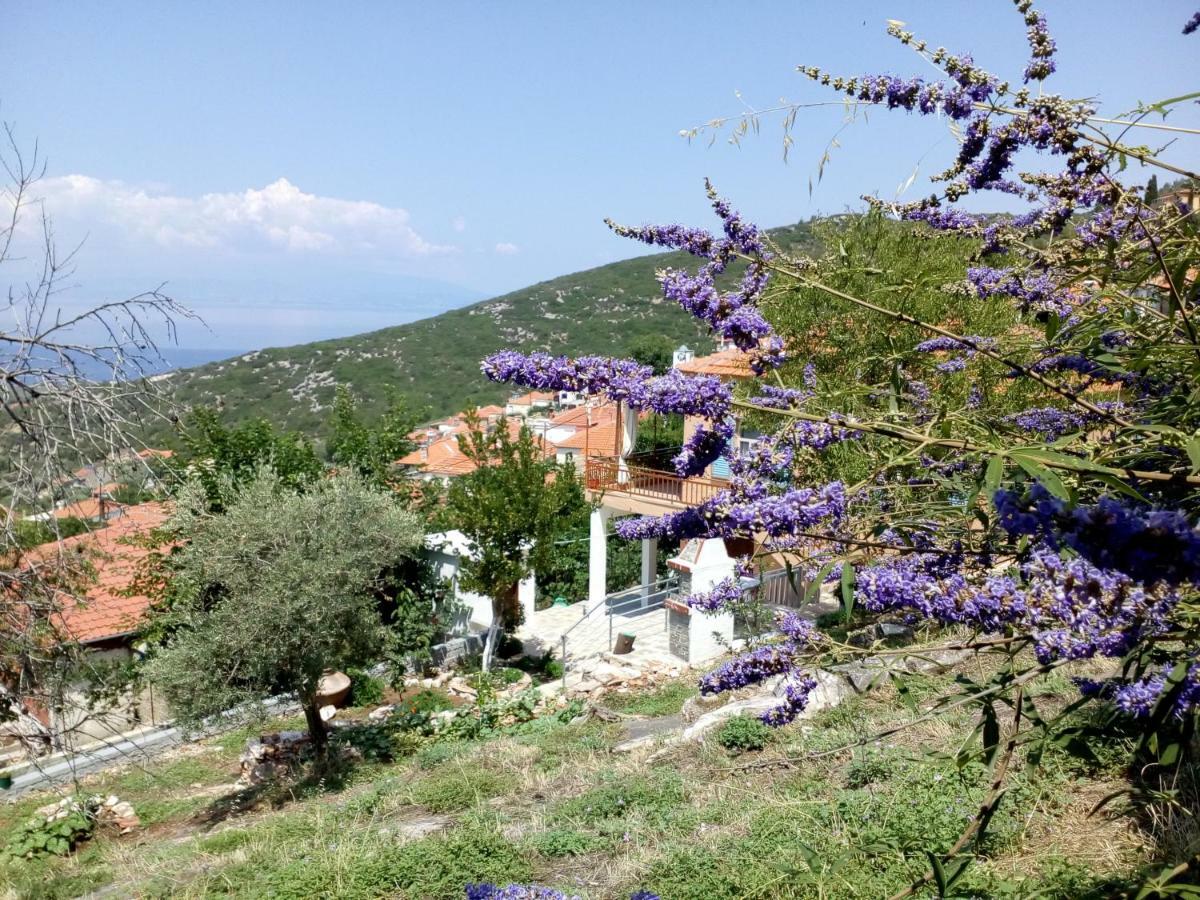 Dimitra'S Garden Villa Kallirákhi Eksteriør billede